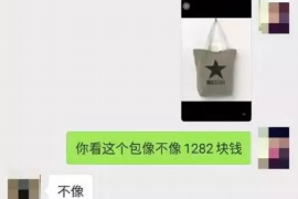 白城为什么选择专业追讨公司来处理您的债务纠纷？